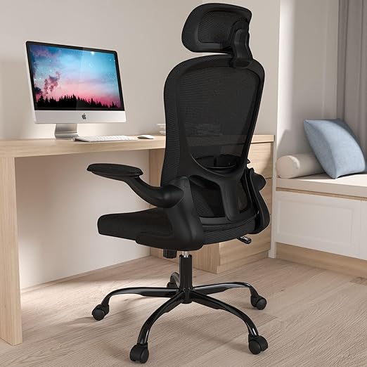 Ergonomic Office Chair